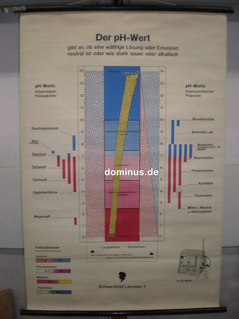 Der-pH-Wert-Schwarzkopf-lehrtafel-3-ca61-top-DE21-80x120.jpg