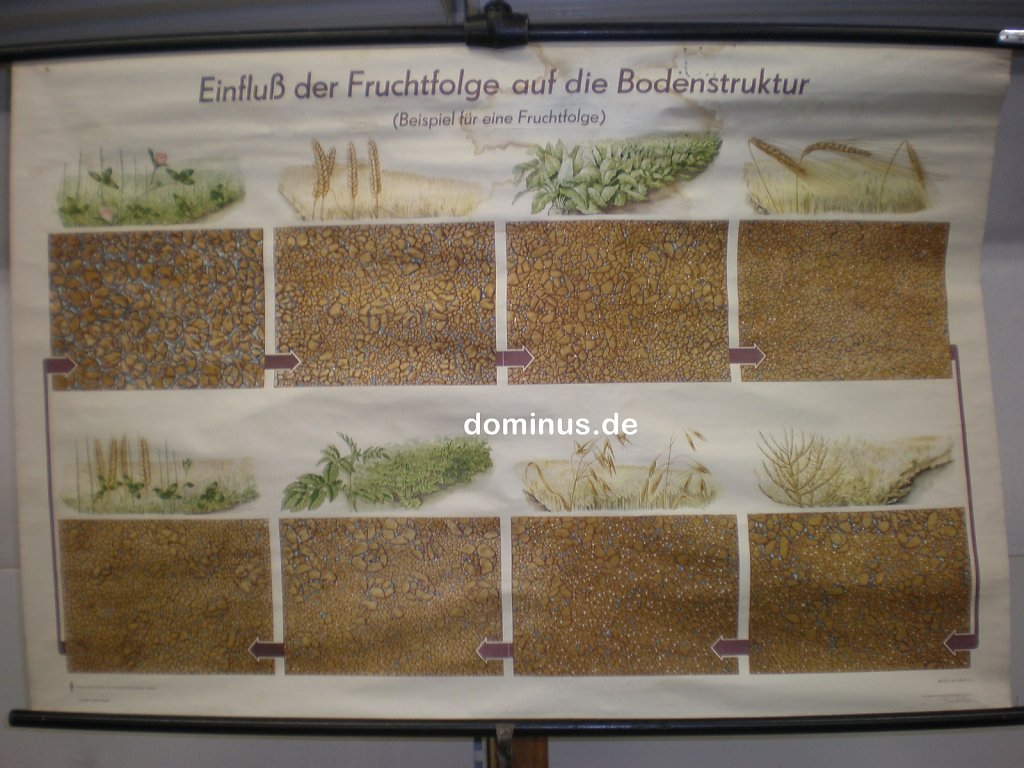 Einfluss-der-Flruchtfolge-auf-deie-Bodenstruktur-wasserfelckig-DE45-119x79.jpg