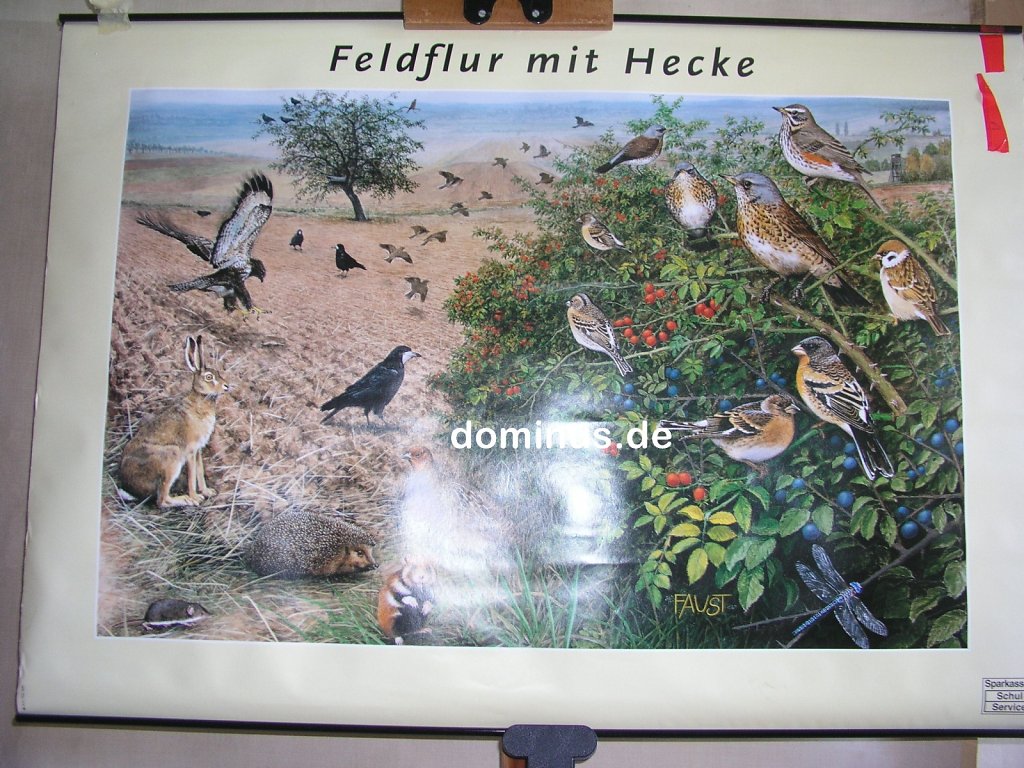 218-Feldflur-mit-Hecke-S1rot-Sparkassen-Schulservice-84x60.jpg