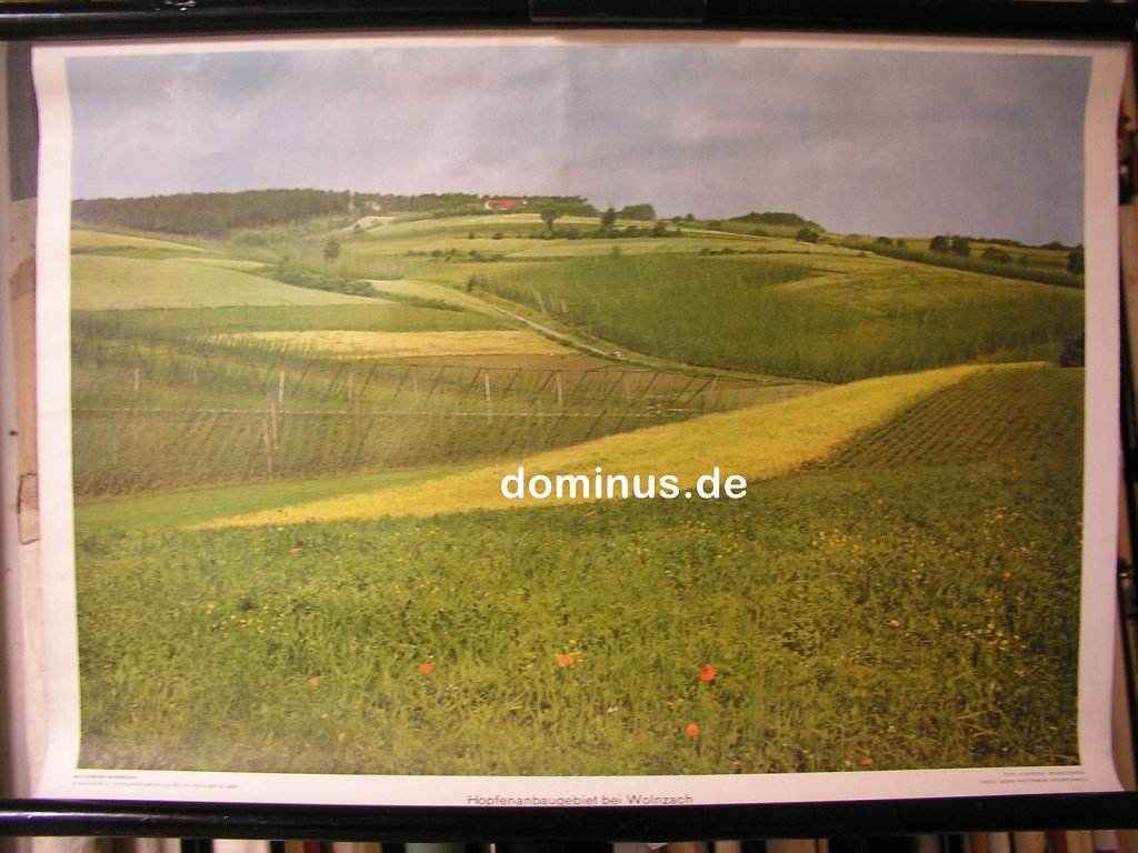 D-Hopfenanbaugebiet-bei-Wolnzach-Wester-G59-72x51.jpg