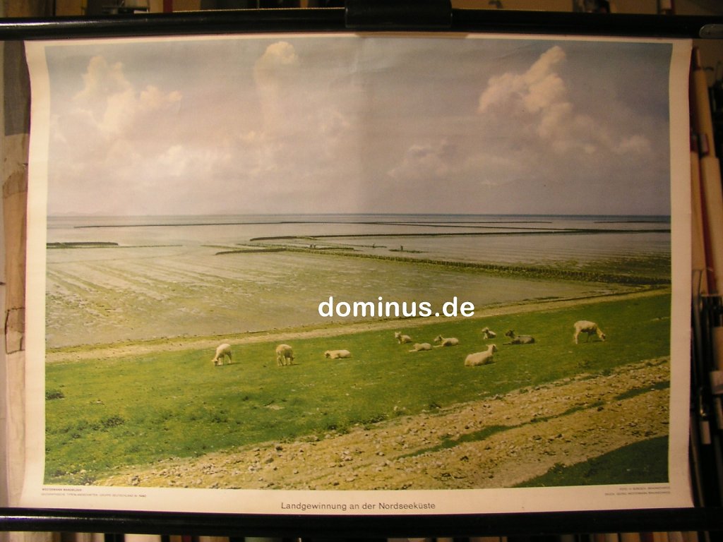 D-Landgewinnung-an-der-Nordseekueste-Wester-G52-72x51.jpg
