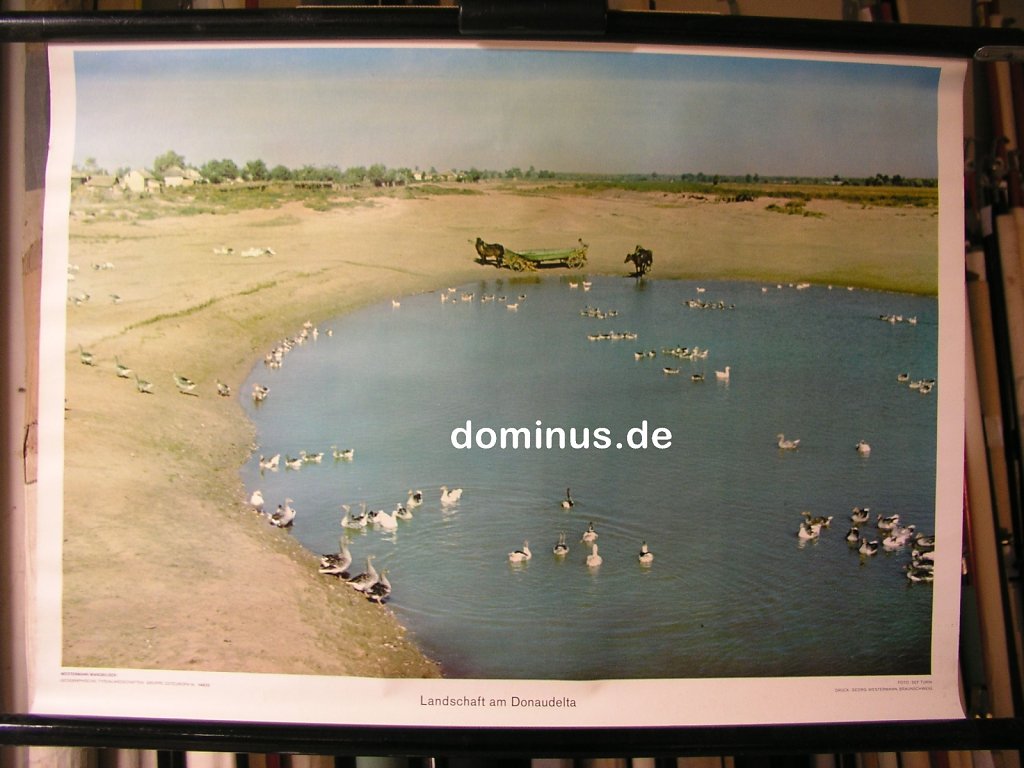 OE-Landschaft-am-Donaudelta-Wester-G61-72x52.jpg