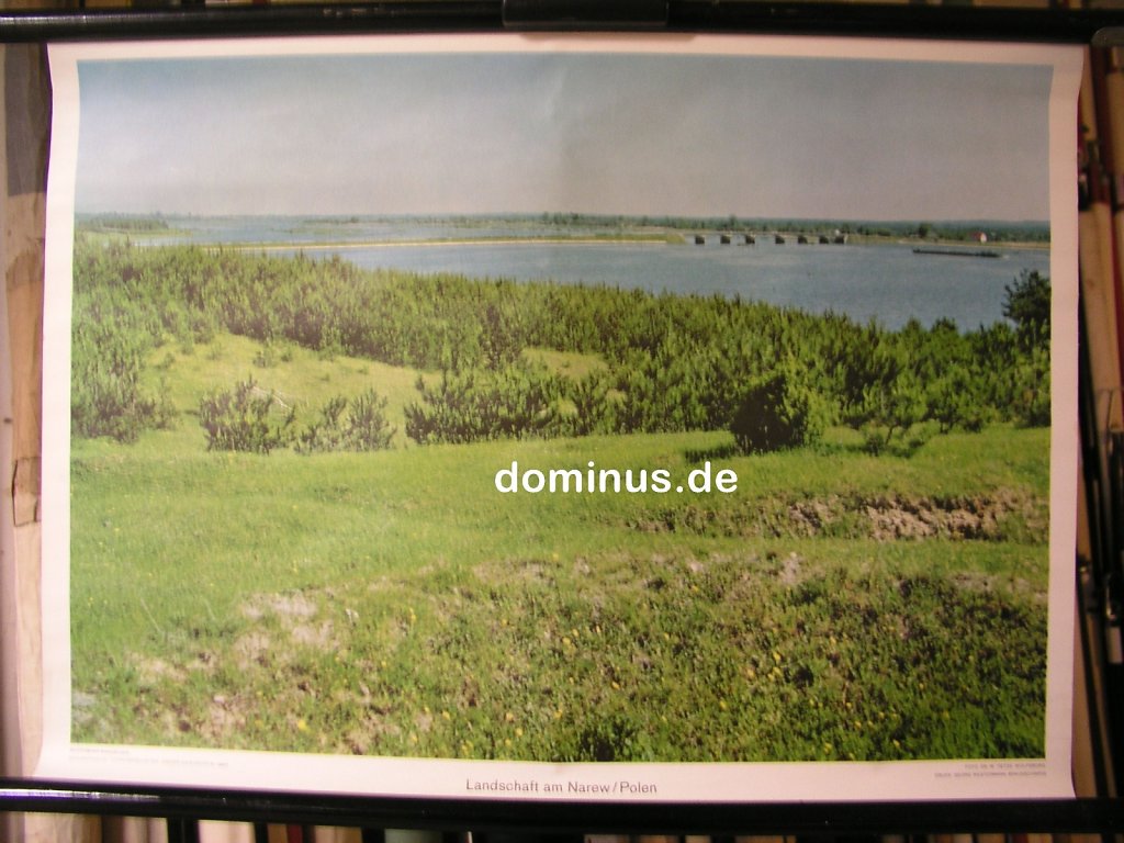 OE-Landschaft-am-Narew-Polen-Wester-G67-72x52.jpg