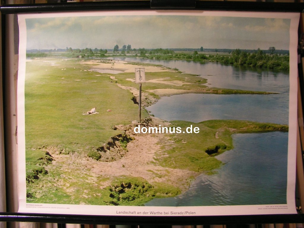 OE-Landschaft-an-der-Warthe-bei-Sieradz-Polen-Wester-G81-72x52.jpg