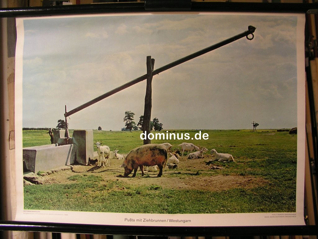 OE-Pussta-mit-Ziehbrunnen-Westungarn-Wester-G71-72x52.jpg