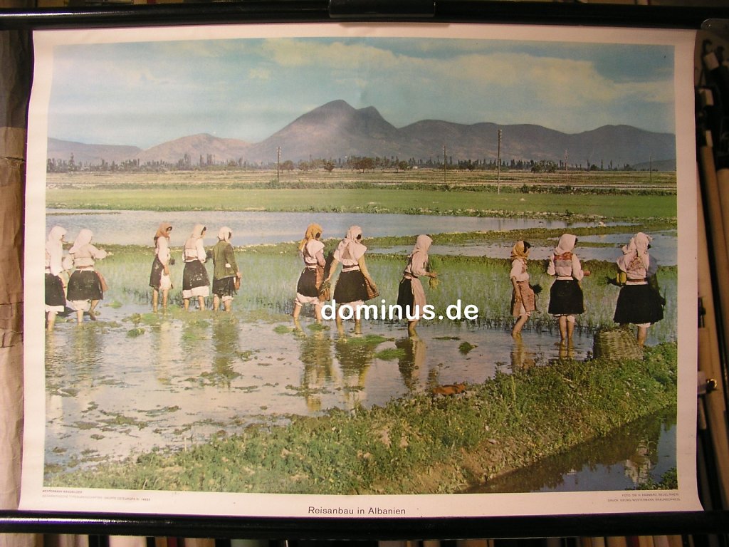 OE-Reisanbau-in-Albanien-Wester-G24-72x52.jpg