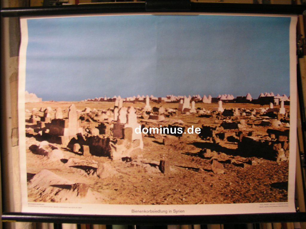 VAuI-Bienenkorbsiedlung-in-Syrien-Wester-G55-71x51.jpg