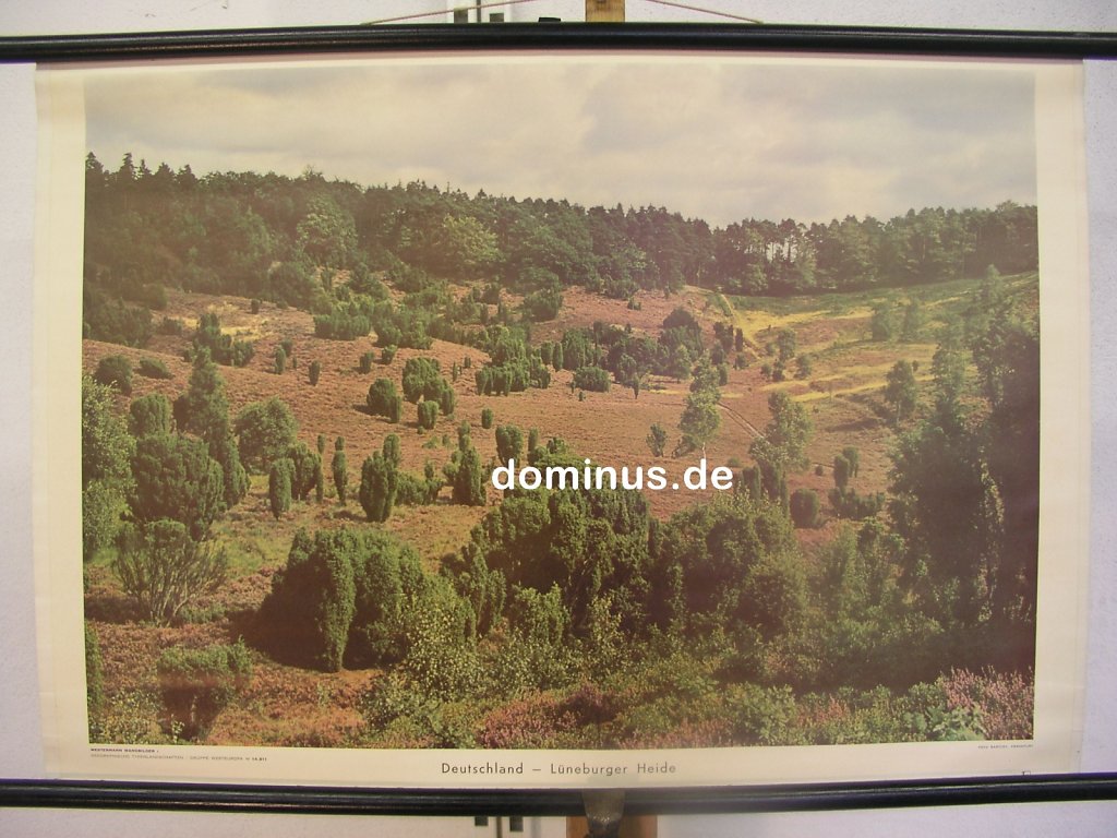 WE-Deutschland-Lueneburger-Heide-Wester-NU215-75x52.jpg