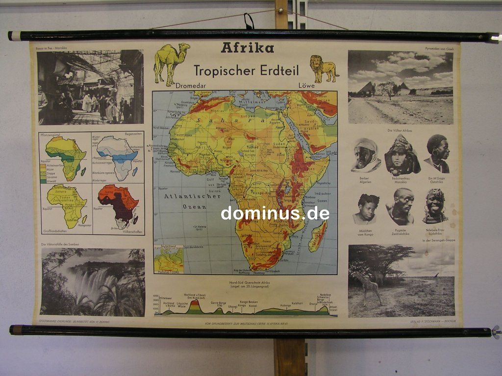 Afrika-tropischer-erdteil-stockm-rechts-fleckig-20M-SB706-100x66.jpg