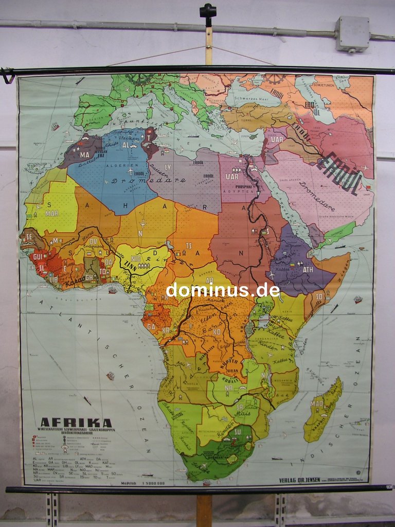 Afrika-Jensen-top-1Pap.jpg