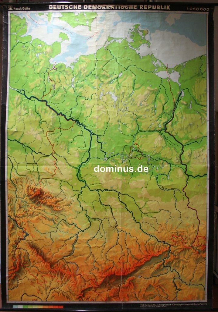 246.jpg