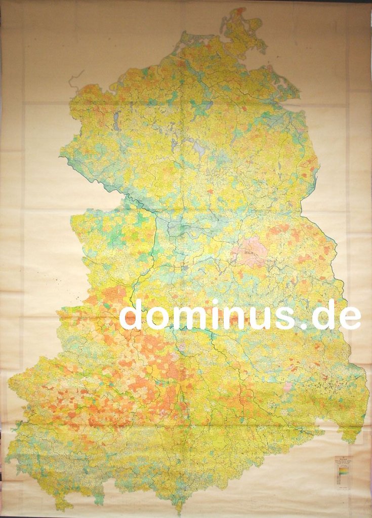 256.jpg